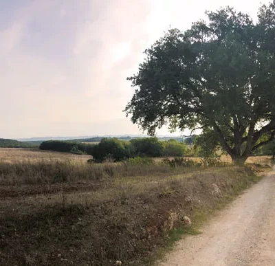 Trekking sulla Via Francigena Toscana