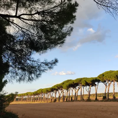 Le fate del Golfo di Baratti e i "quasi" vulcani della Val di Cornia