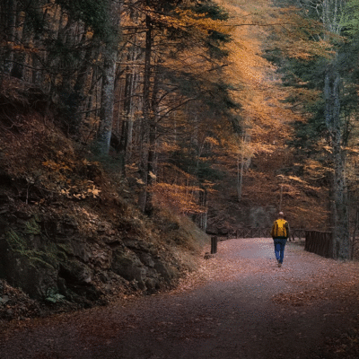 Alternative view of 13-14 Settembre 2025 | Esplorando il paradiso verde: trekking nelle Foreste Casentinesi